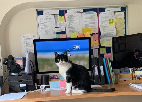 Working from Home